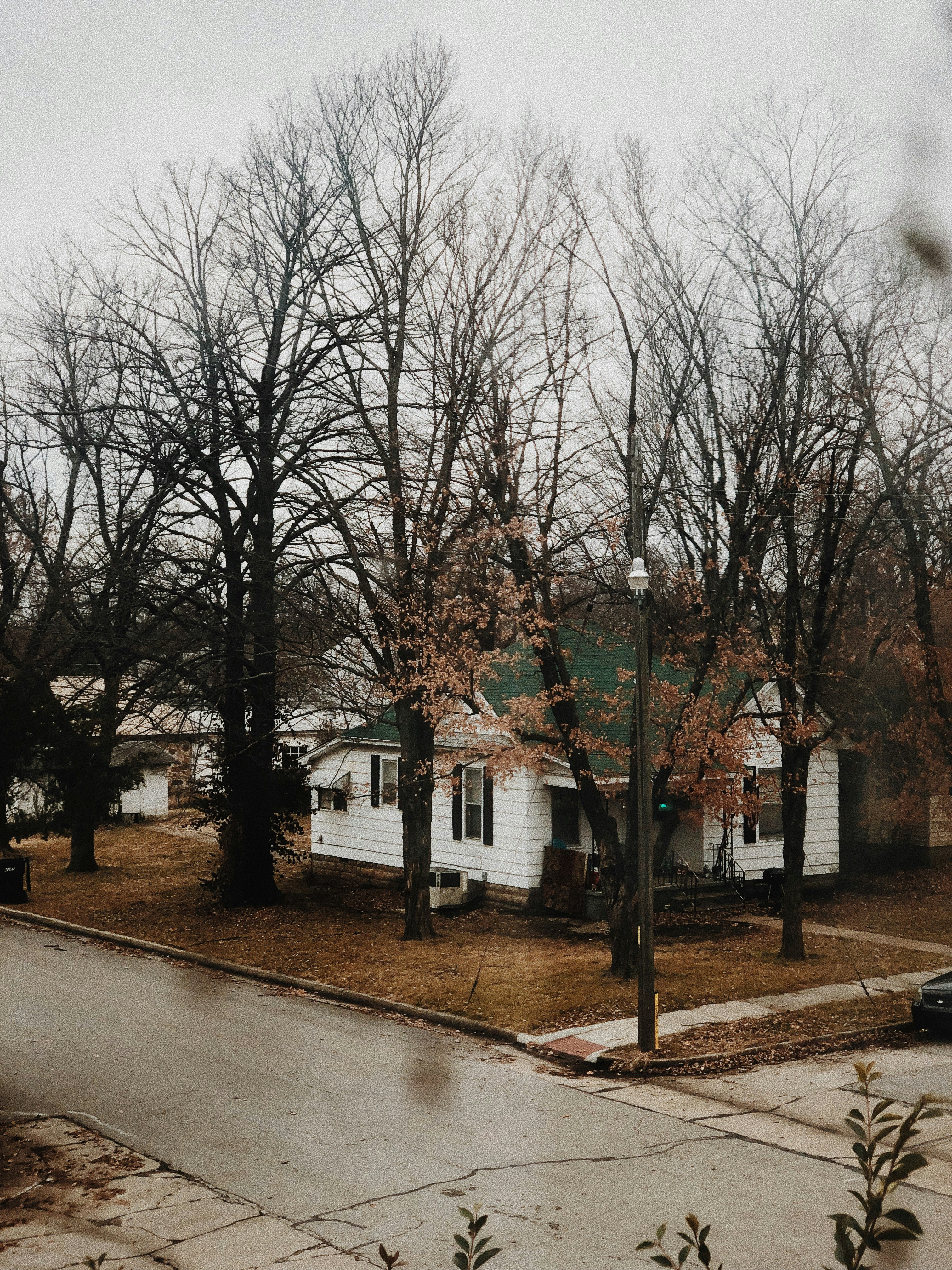 枯れ木に囲まれた家の写真 Unsplashで見つける1229ウェストオースティンセントの無料写真