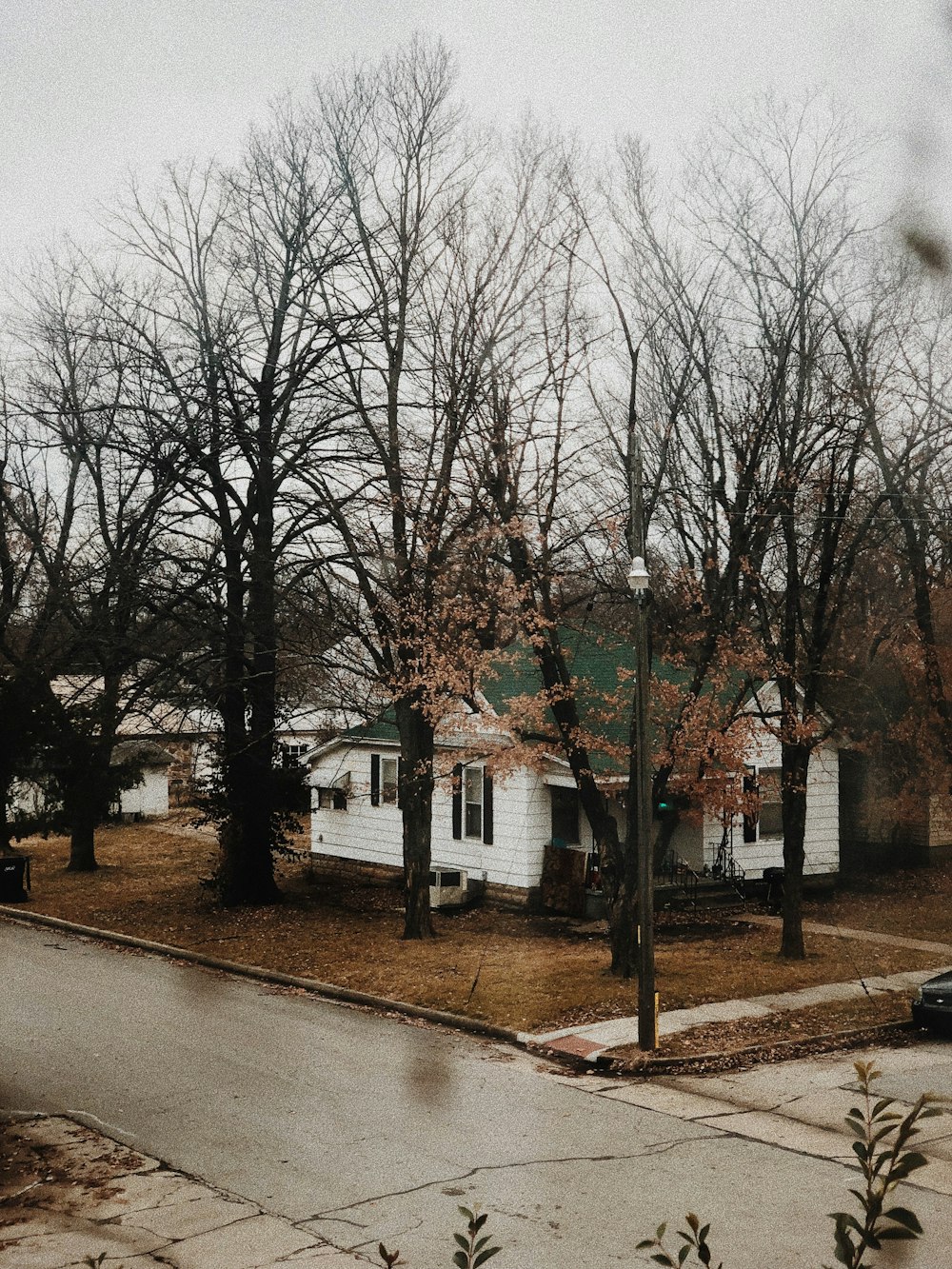 house surrounded by withered tree