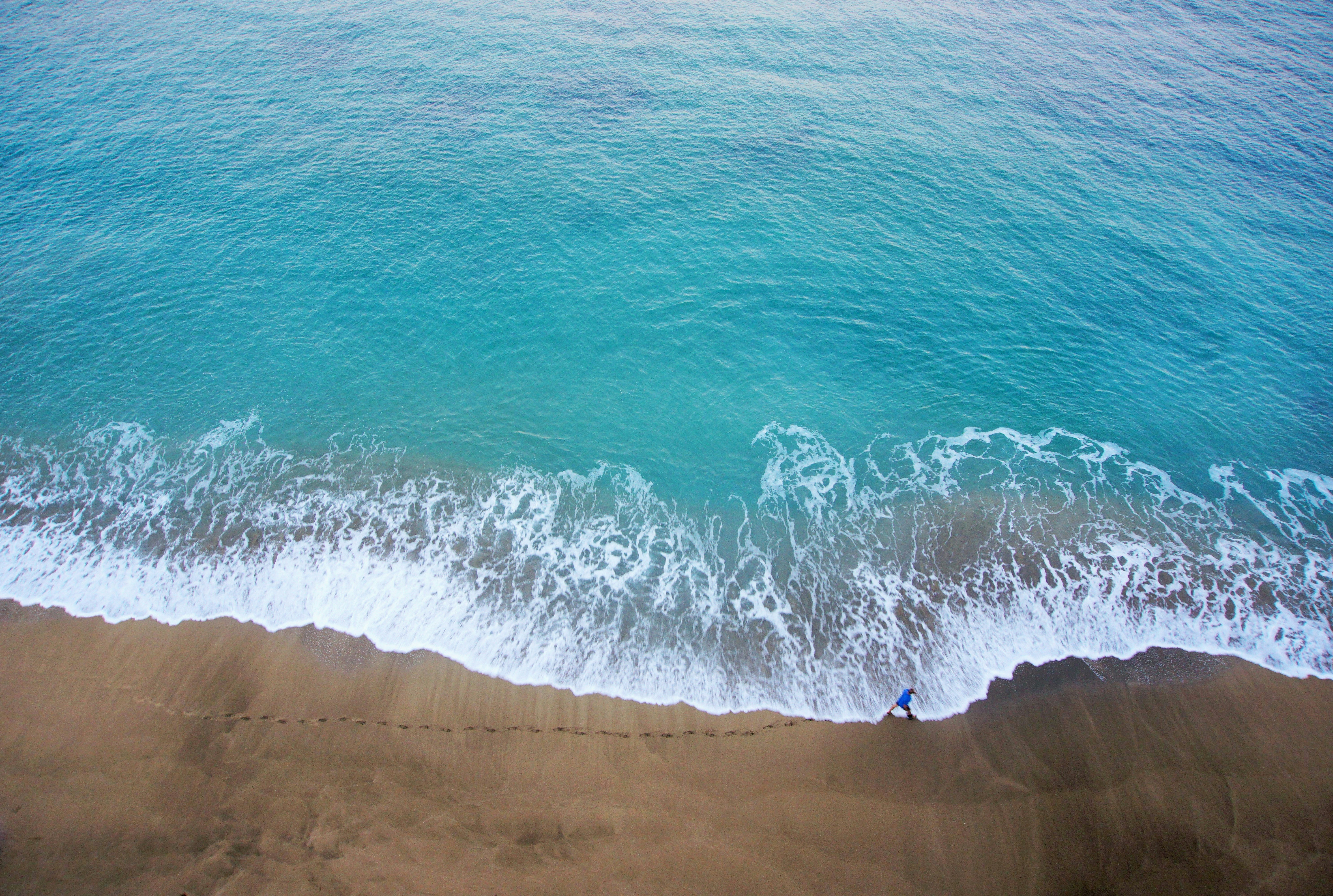 bird's-eye view photography of person walking on beach maui zoom background