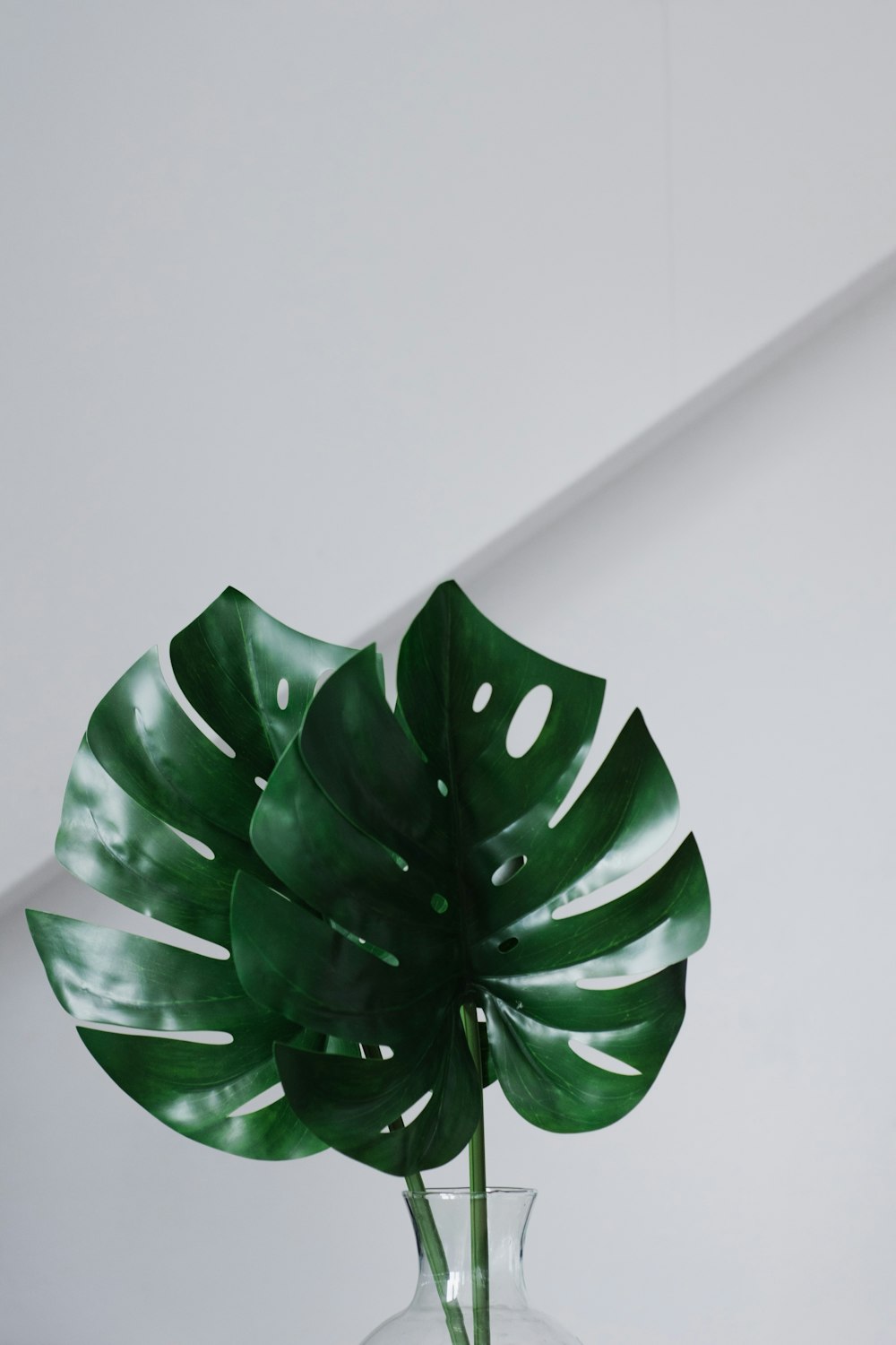 green leafed on vase