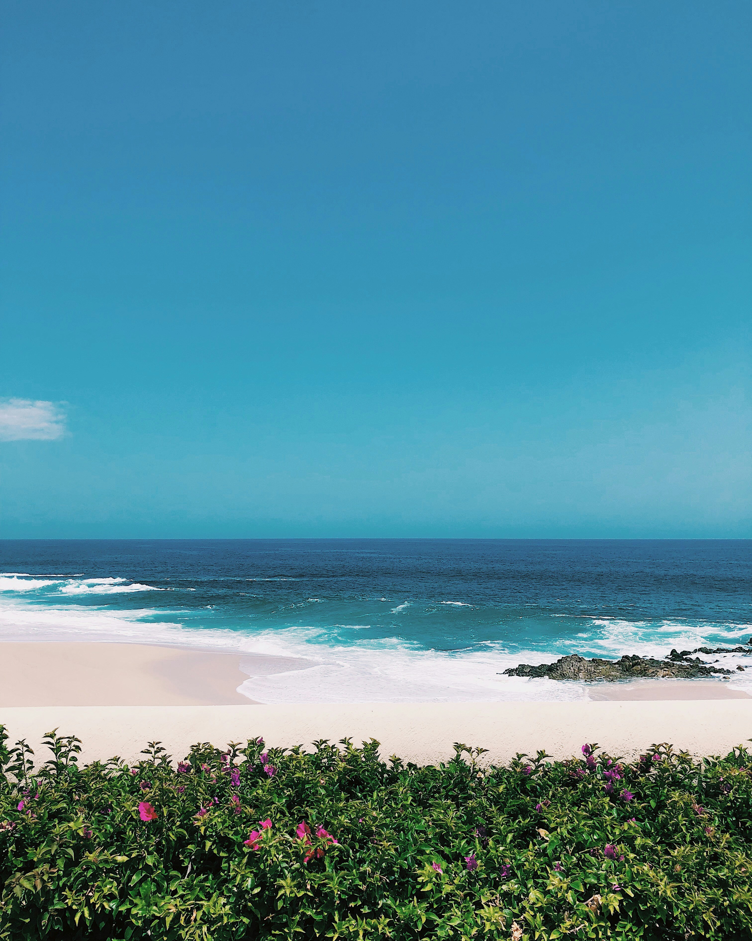 photography of the pacific ocean from mexico