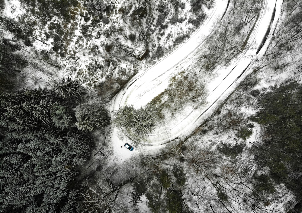 Photographie aérienne d’une voiture près des bois