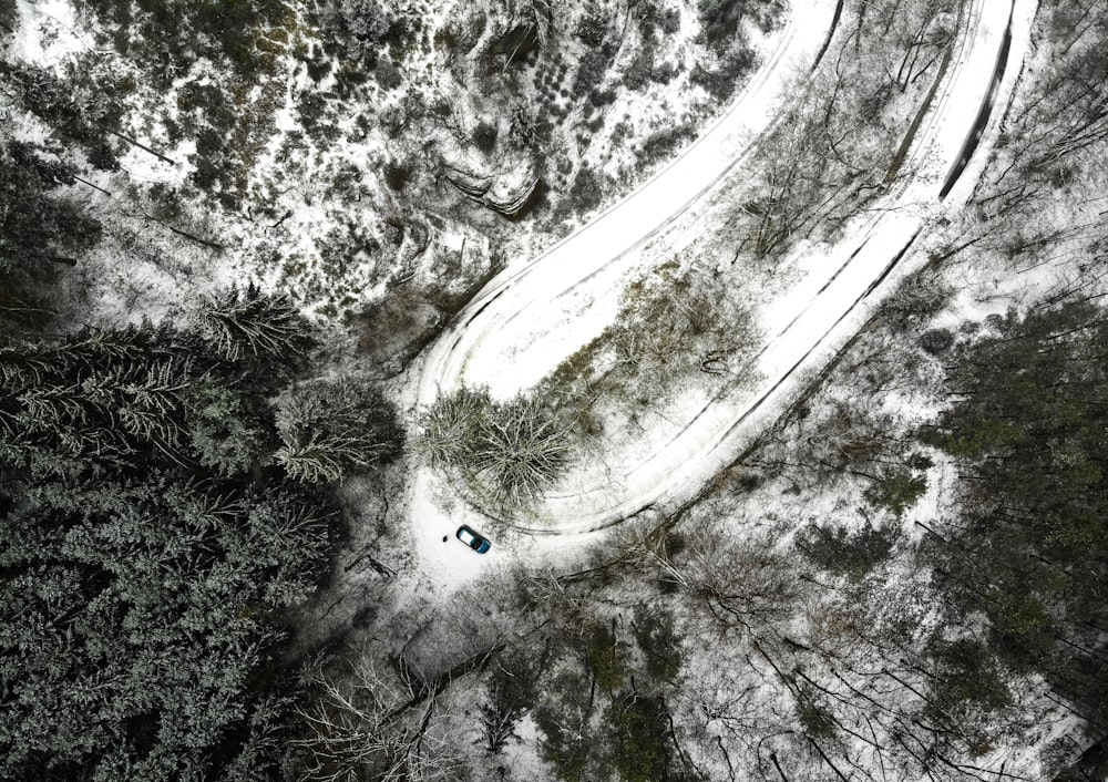 Fotografía aérea de un coche cerca de un bosque