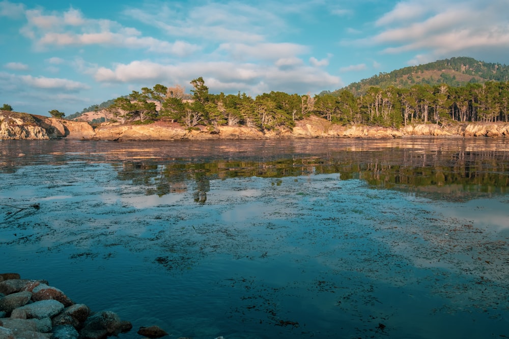 calm body of water near green-leafed trees