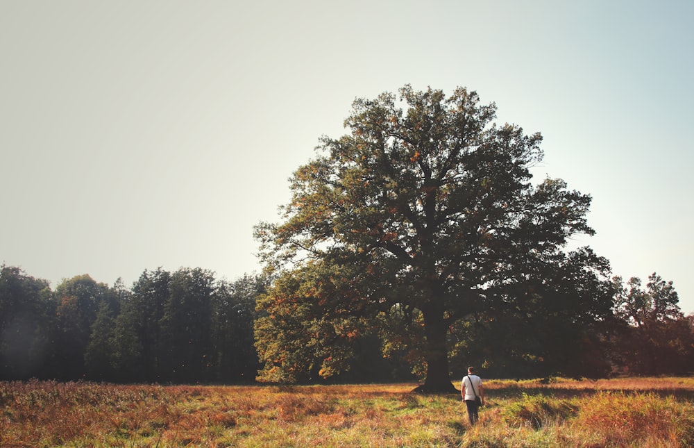 man standing on grass field facing tree