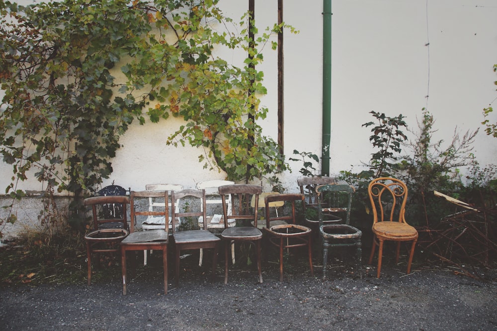 seven brown wooden chairs