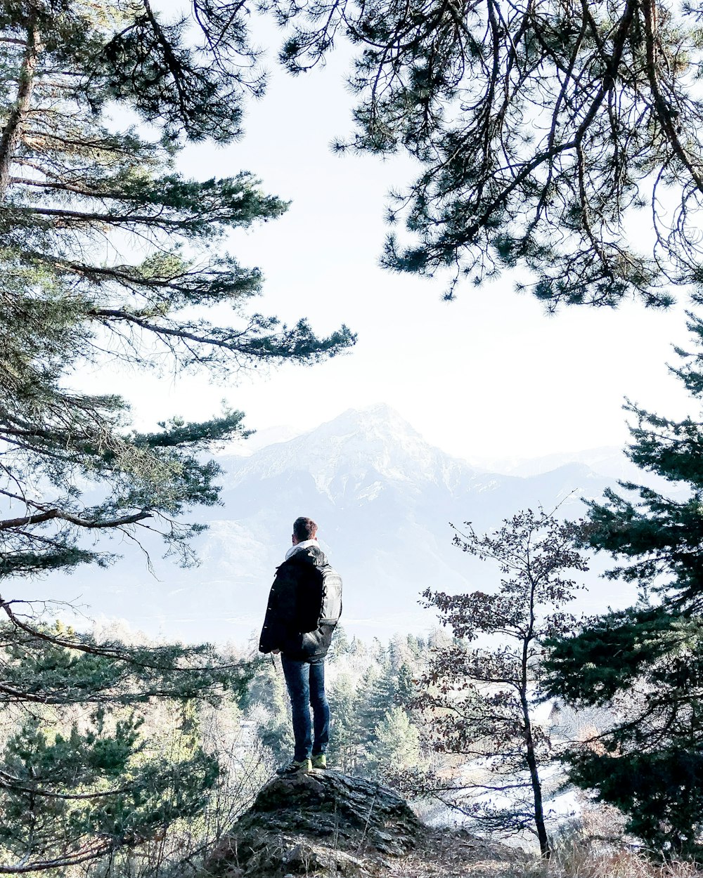 man standing on cliff beside trees