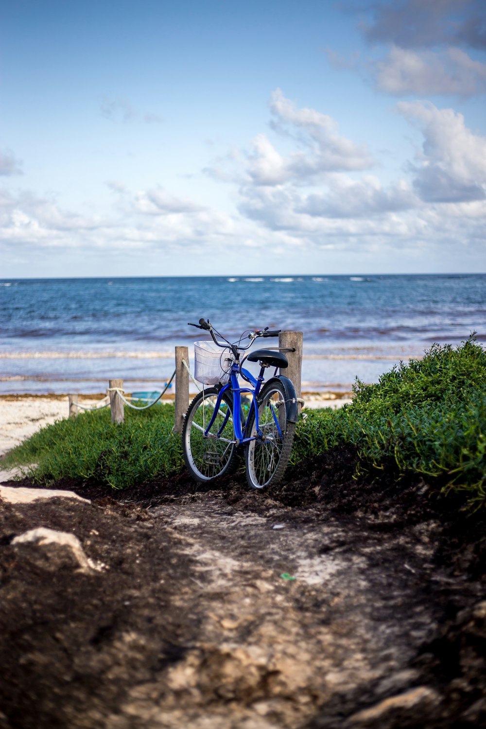 blue bicycle on seashore under cloudy sky