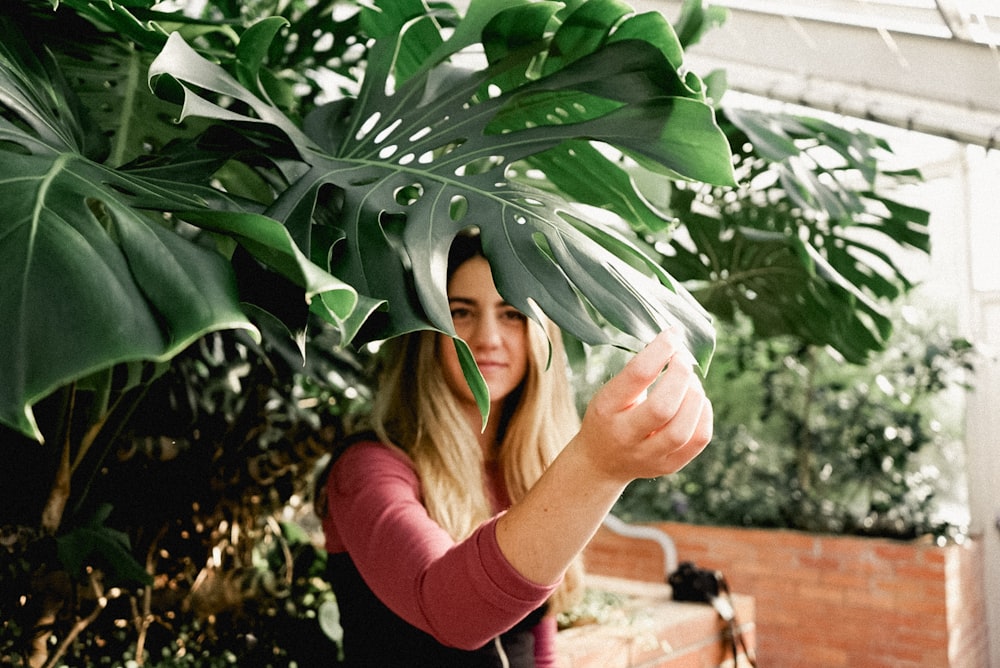 woman touching green leaf during daytime