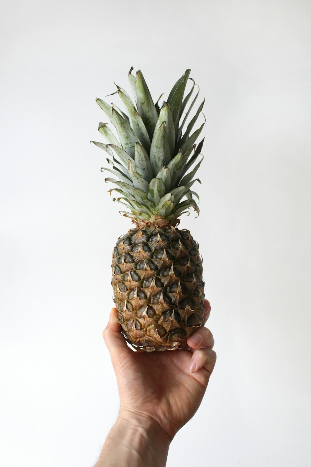 person showing pineapple fruit