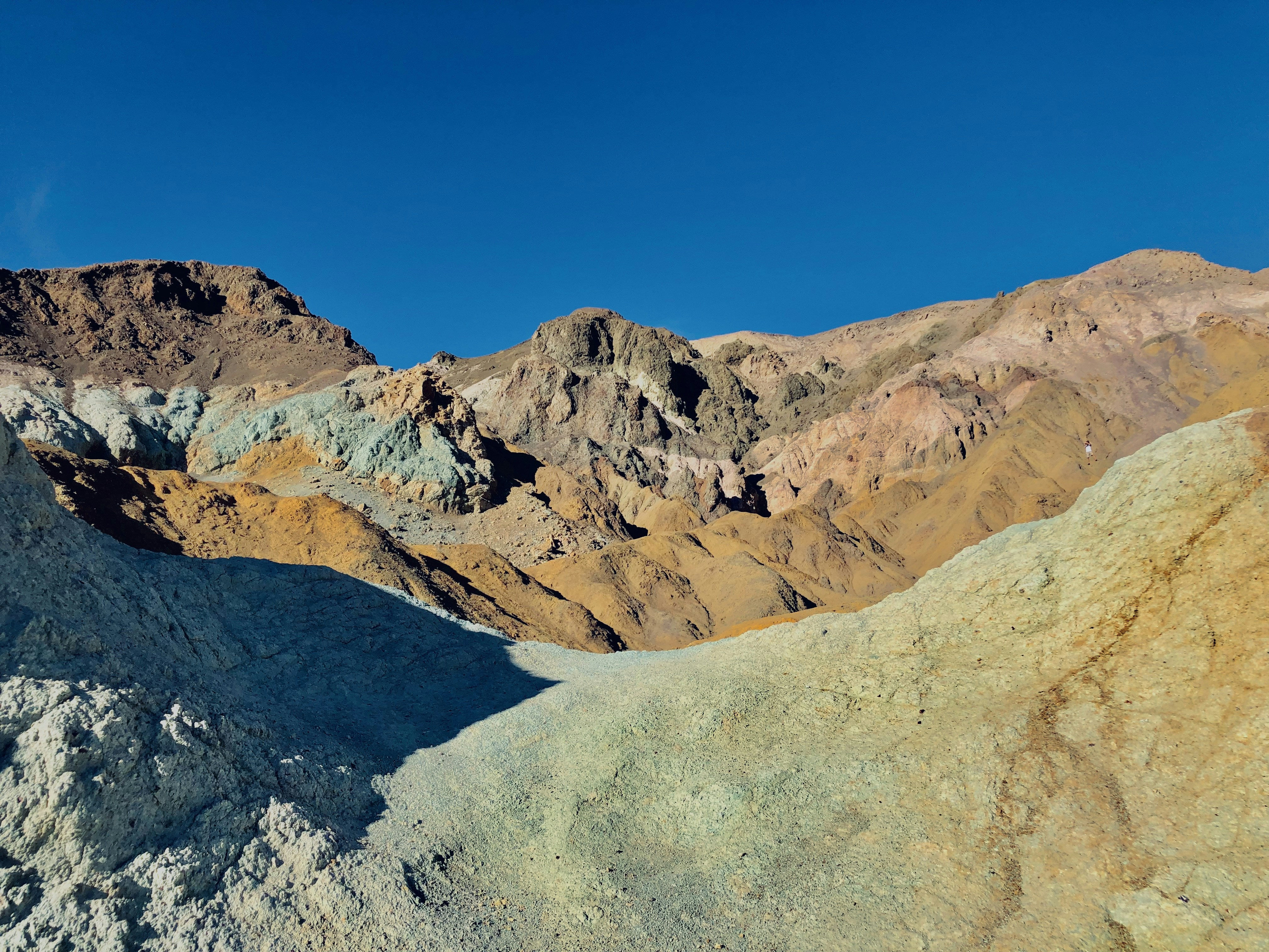 Photo by phone_ographer