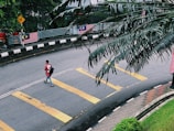 A person carrying a backpack walks along a crosswalk on a curved road. The road features yellow pedestrian lines, and Malaysian flags are displayed on railings in the background. Palm fronds partially cover the upper right of the image, and there is lush greenery and a sidewalk on the lower right.