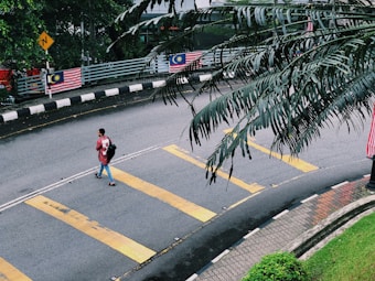 A person carrying a backpack walks along a crosswalk on a curved road. The road features yellow pedestrian lines, and Malaysian flags are displayed on railings in the background. Palm fronds partially cover the upper right of the image, and there is lush greenery and a sidewalk on the lower right.
