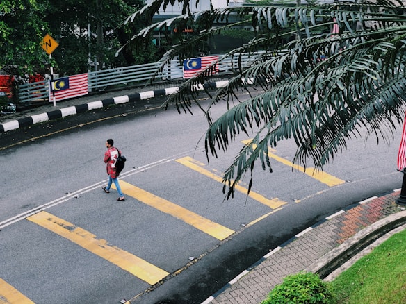 A person carrying a backpack walks along a crosswalk on a curved road. The road features yellow pedestrian lines, and Malaysian flags are displayed on railings in the background. Palm fronds partially cover the upper right of the image, and there is lush greenery and a sidewalk on the lower right.