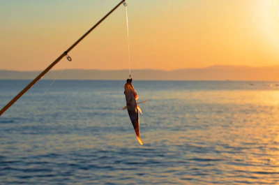 A proud fisherman holding a large red snapper against a backdrop of calm Florida waters at sunset.