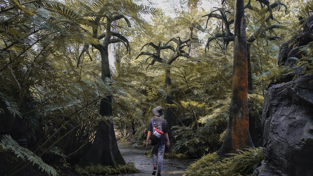 selective focus photography of person walking surrounded by trees