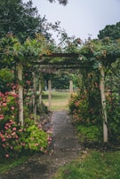 white and brown wooden garden arbor