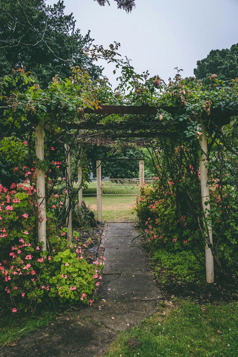 white and brown wooden garden arbor