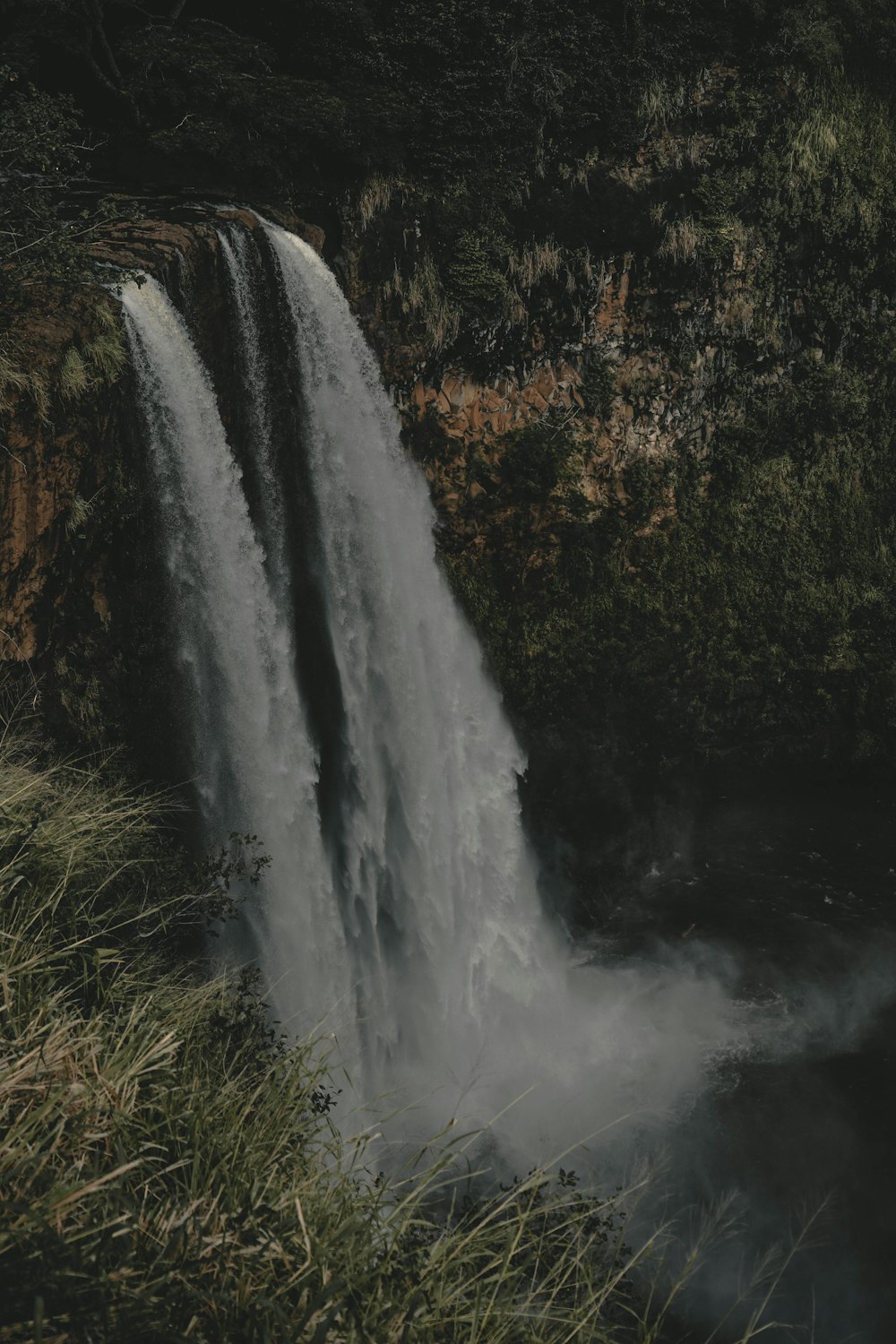 waterfalls near trees