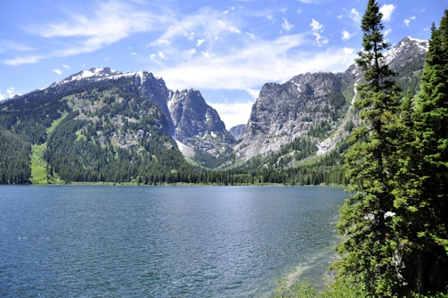 A serene landscape featuring Alaskan wildlife, showcasing nature's beauty.