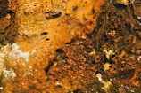A textured surface with an array of oranges and browns, possibly indicating a rusted or mineral-rich area. The image also features organic forms and dark shadows, creating a rugged and natural aesthetic.