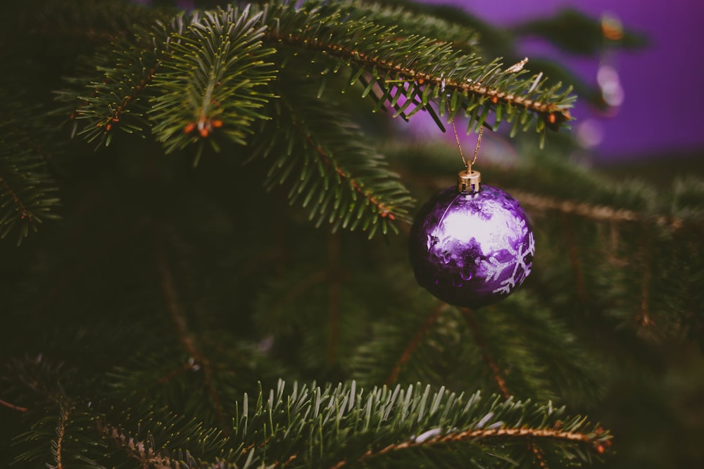 lila Kugel und grüner Weihnachtsbaum