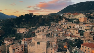 aerial photography of city houses