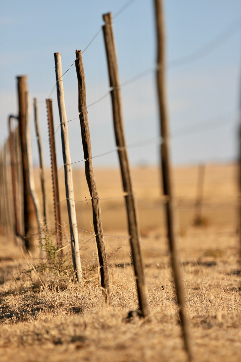 selective focus photo of fence