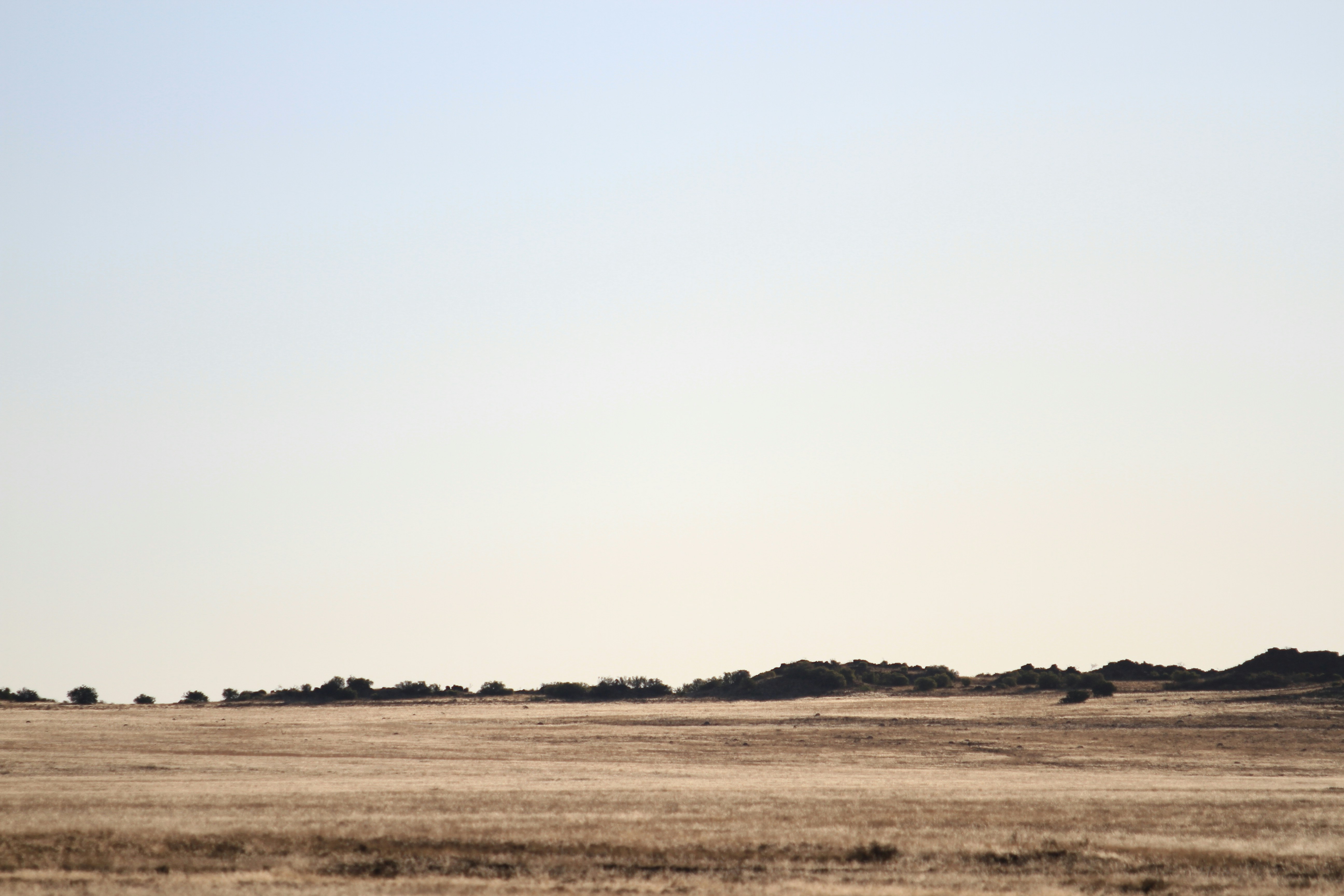 Небо с облаками. Поле горизонт. Необъятная степь оренбургской земли. Степь горизонт. Степь горизонт.