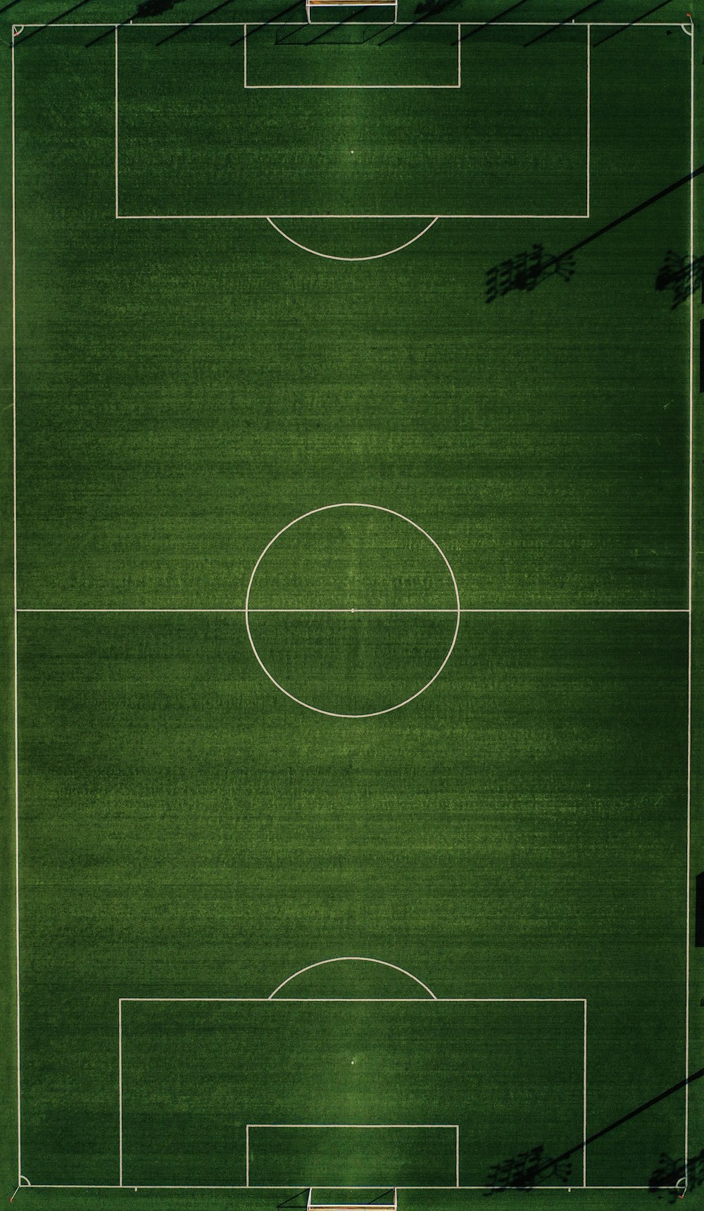 illustrazione verde del campo sportivo