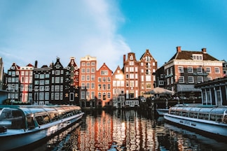 houses near body of water