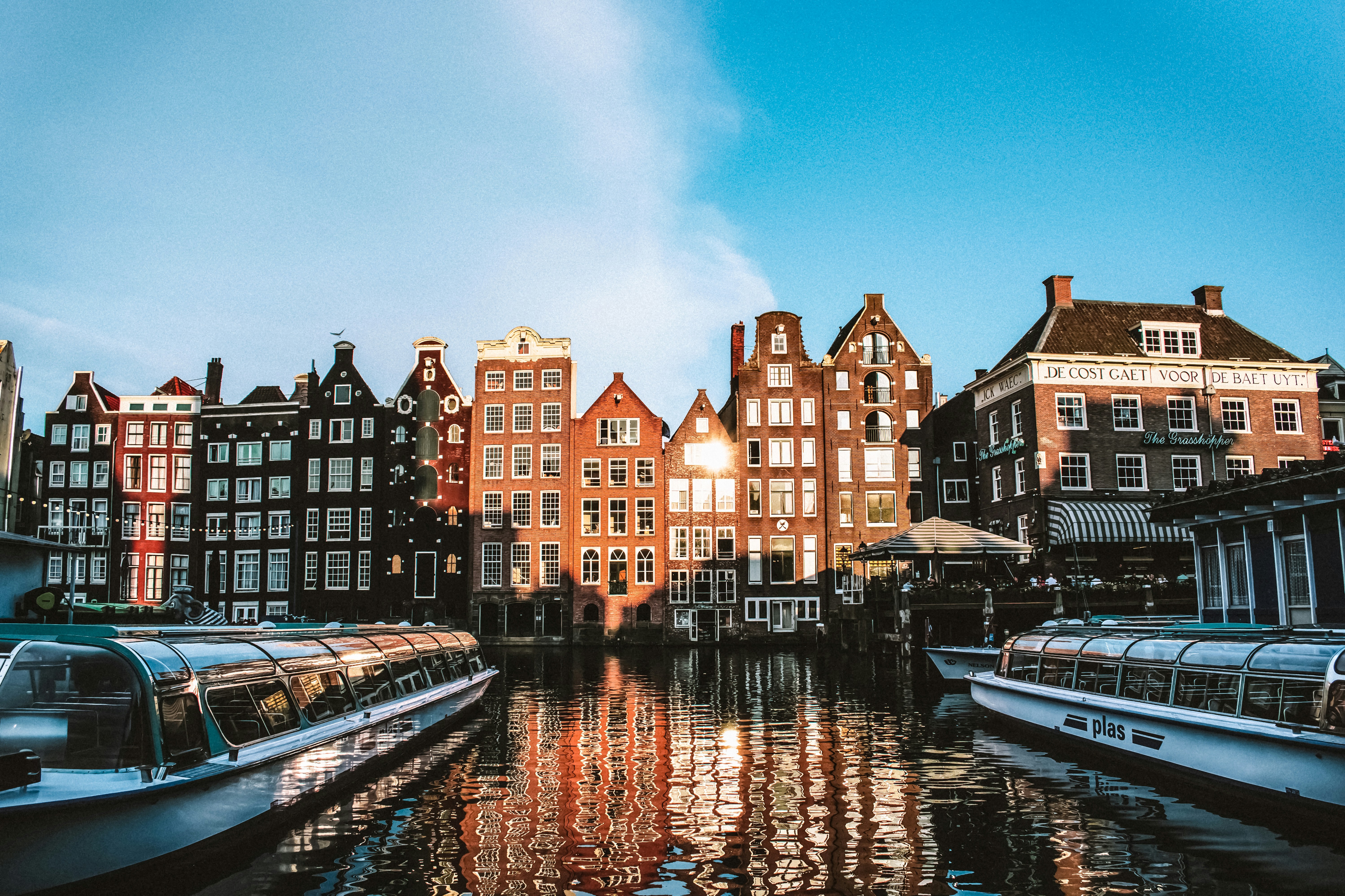 houses near body of water