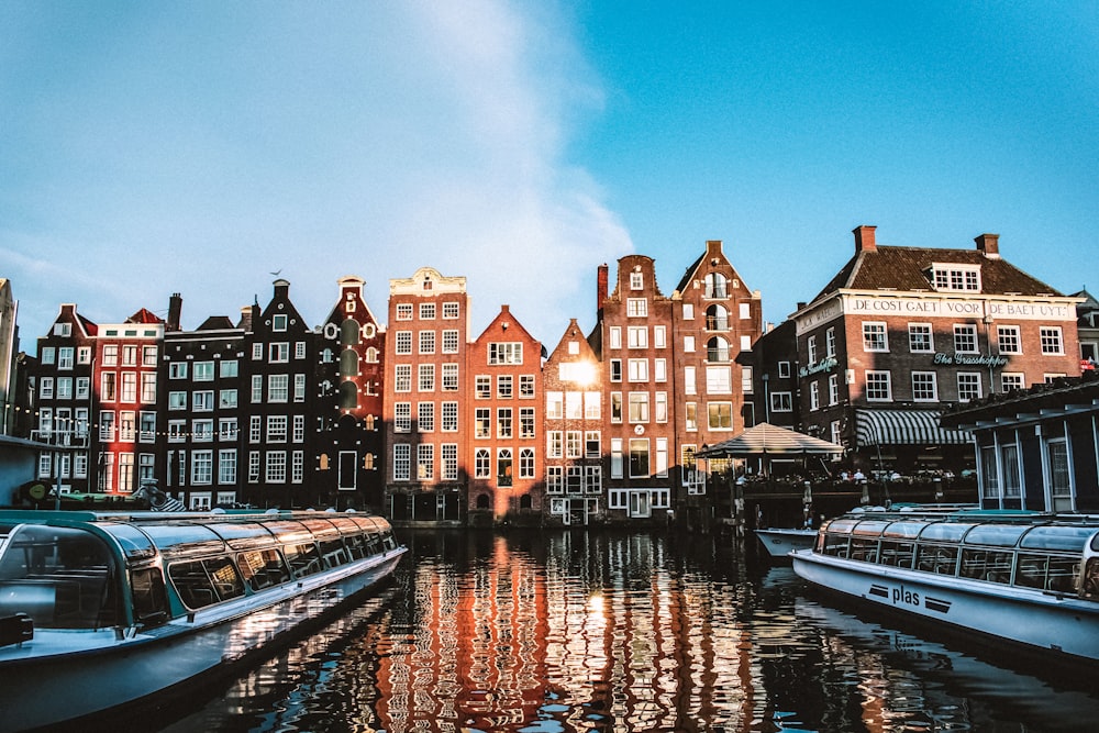 houses near body of water