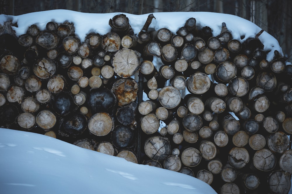 cut logs with snow on top