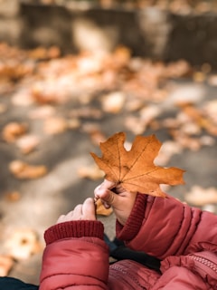 person holding leaf