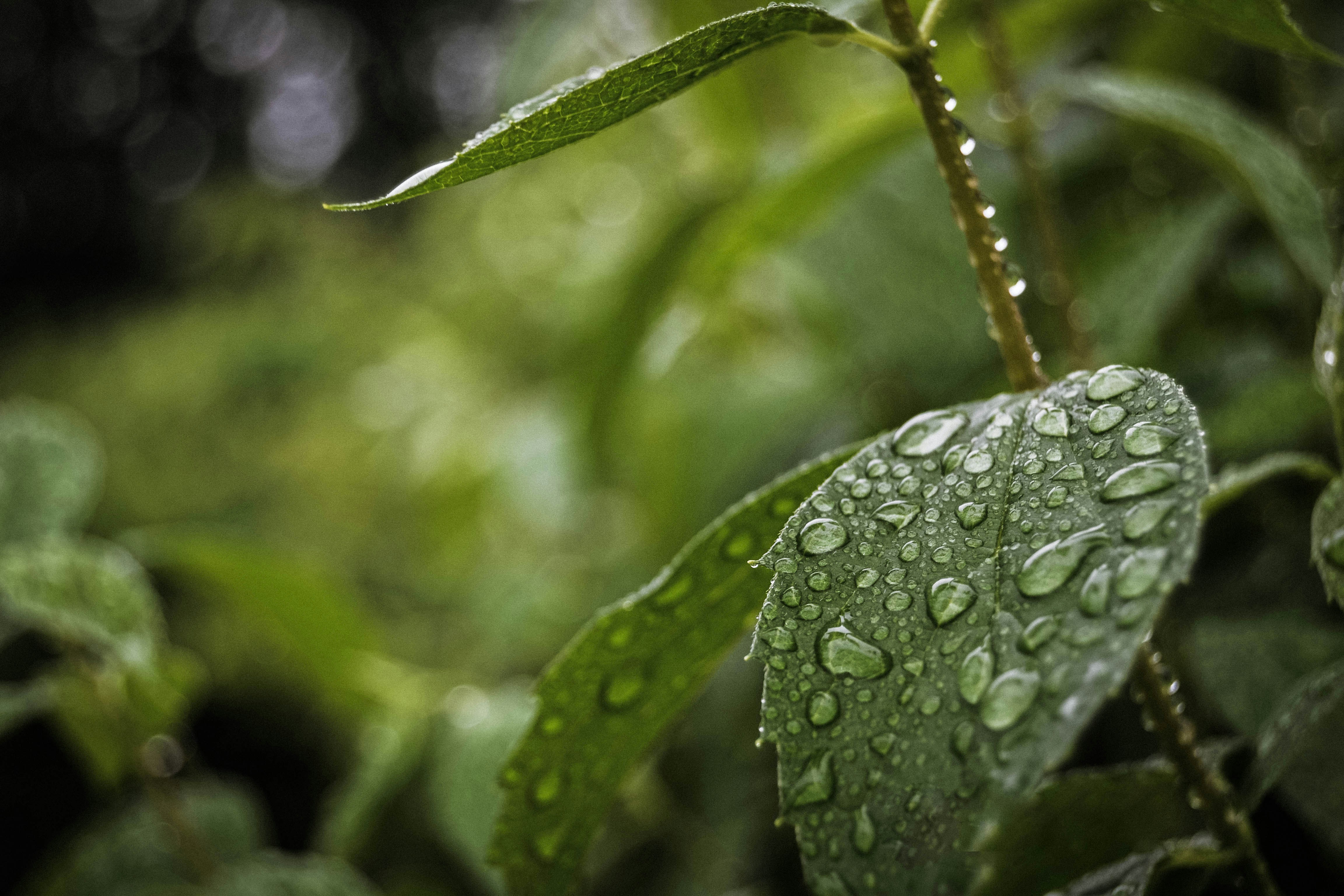 Photo by nikolabriede