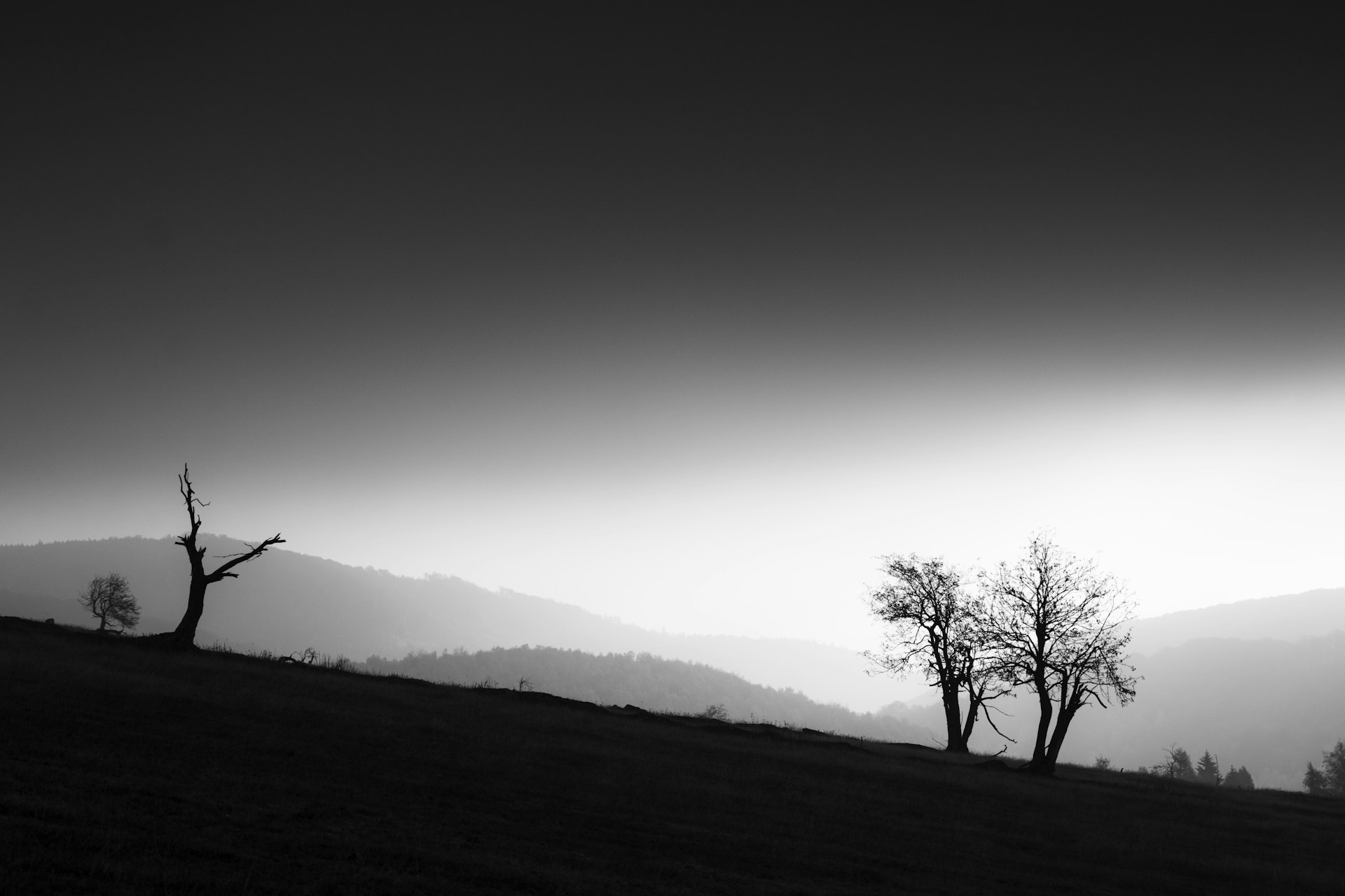 A minimalist landscape showcasing rolling hills under a dramatic cloudy sky in subtle monochrome tones.