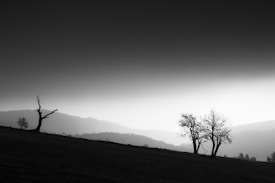 A minimalistic black and white landscape featuring a grassy hill with a few barren trees. In the background, layers of hills fade into a gradient sky transitioning from dark at the top to light at the horizon.
