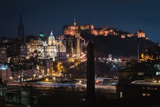 aerial view photography of city at night