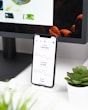 A smartphone displays analytics data with graphs showing views, downloads, and likes. It is resting vertically on a white dock next to a small potted succulent plant. In the background, a large computer monitor is partially visible, along with a closed laptop and a white wireless earbud case.