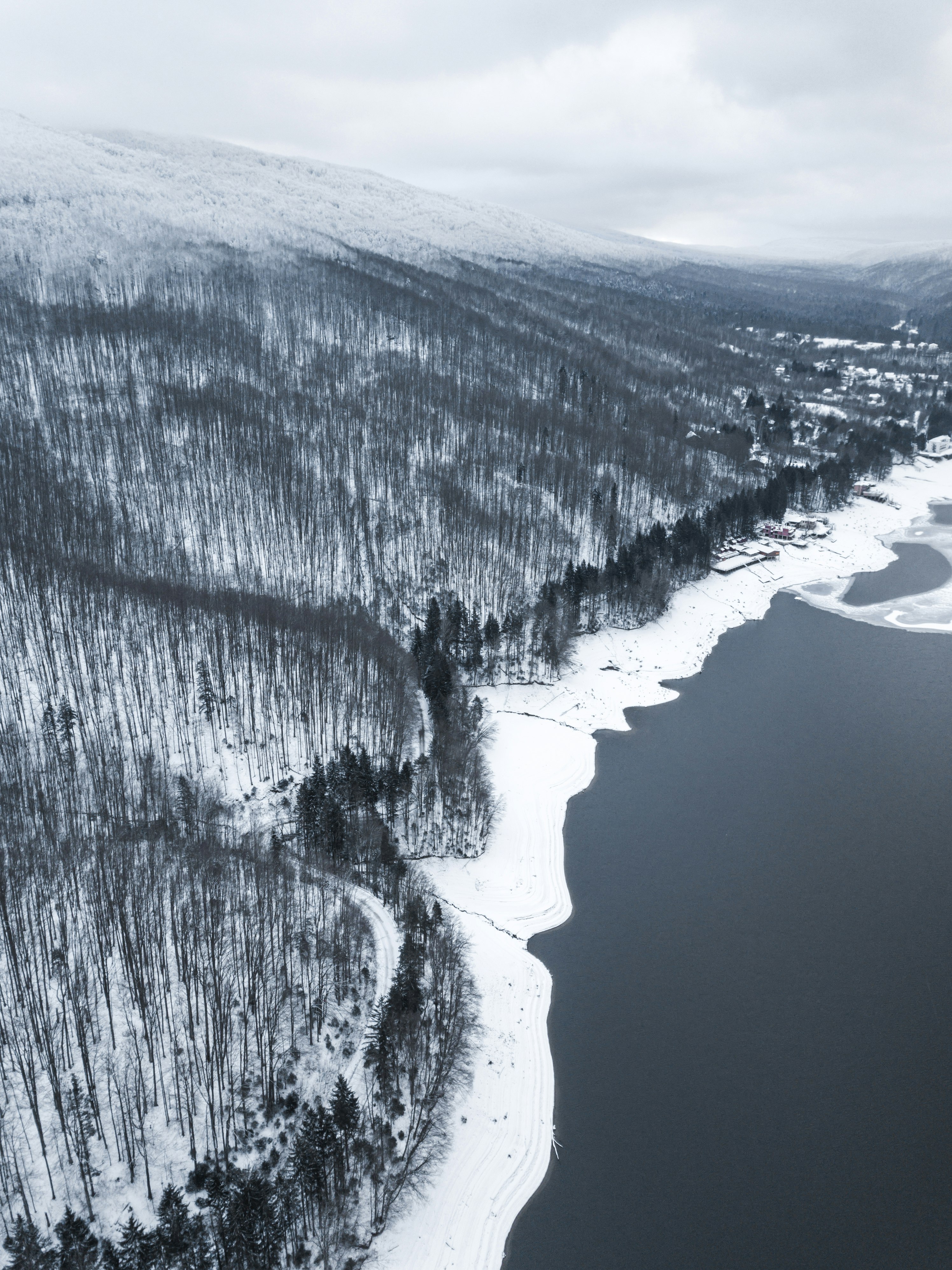 aerial view photography of body of water and forest