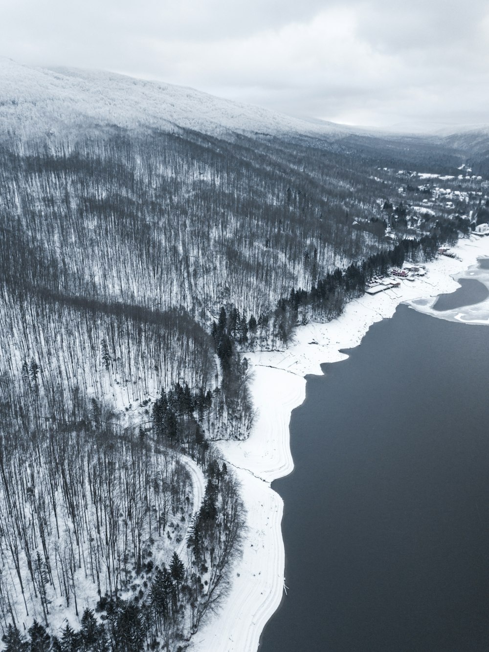 Fotografia aerea dello specchio d'acqua e della foresta