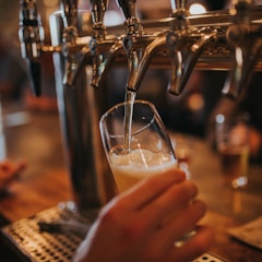 person filling beer on glass