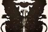 Black and white abstract ink blot artwork resembling a Rorschach test