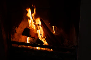 Warm fire crackling inside the cabin, casting a soft glow on rustic wooden walls.