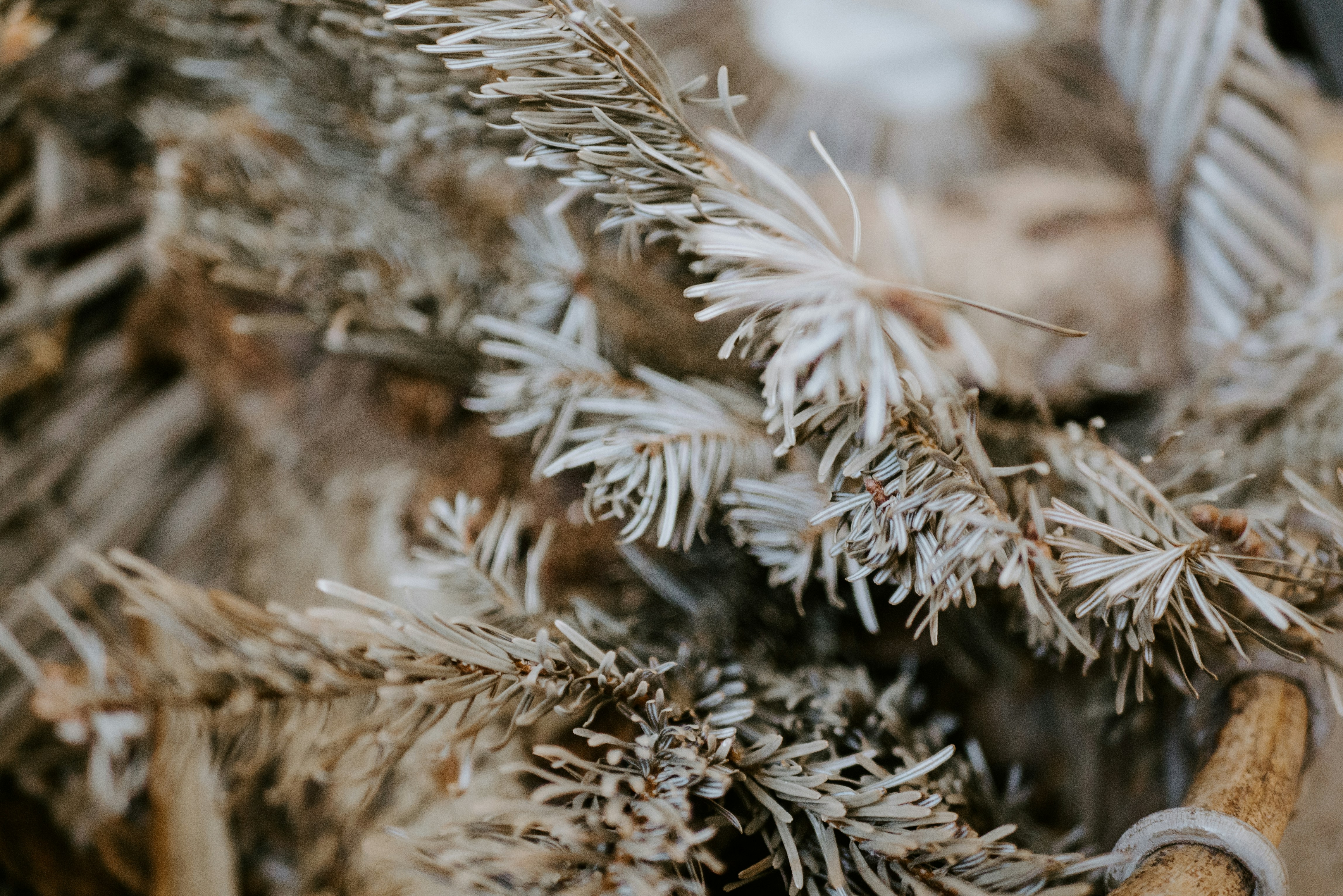 Photo by mattseymour