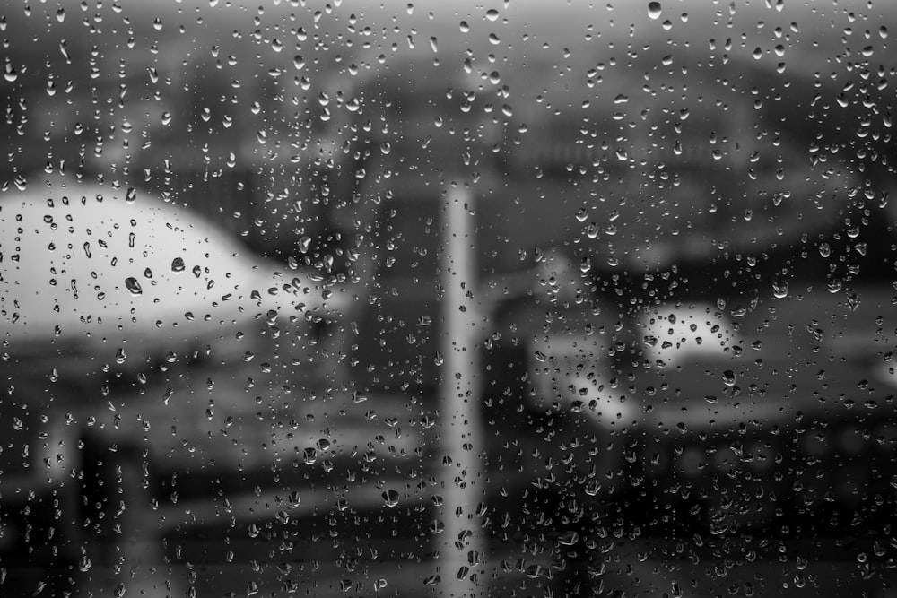 foto ravvicinata di gocce di pioggia