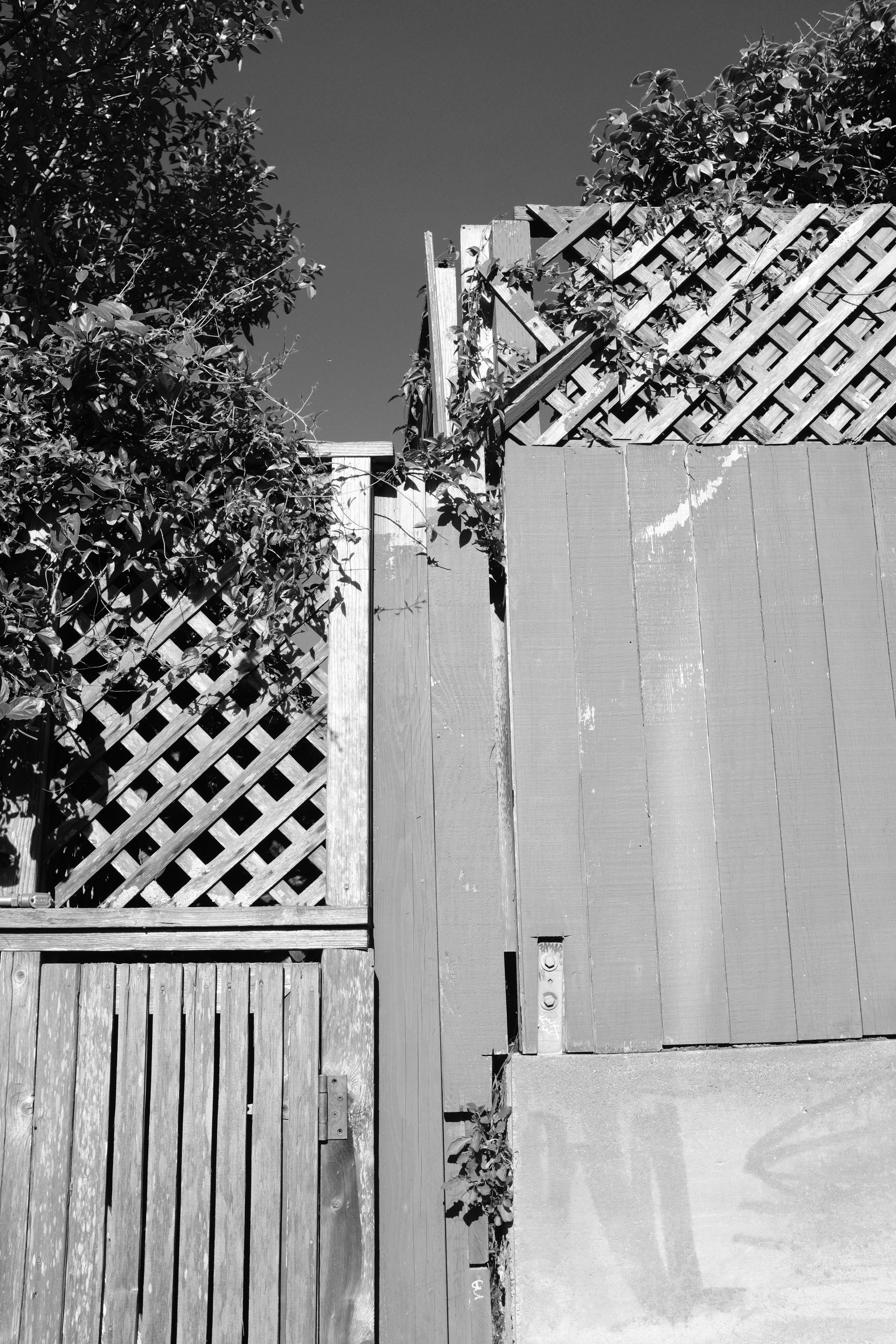 Viewpoint Fence Panel