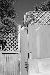 A wooden fence constructed from vertical and lattice panels, partially covered with foliage. The fence appears weathered, and the surrounding plants have grown over parts of it. The top part of the image shows clear sky.