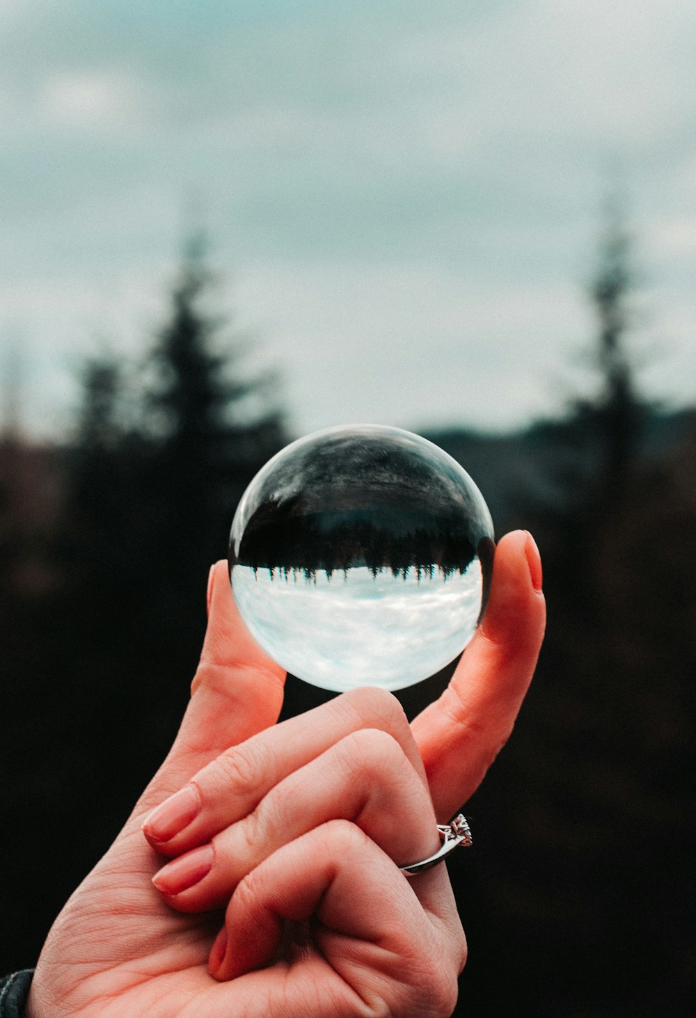 person holding clear ball selective focus photography